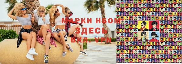 прущий лед Алзамай