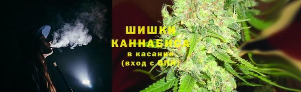 шишки Алексеевка