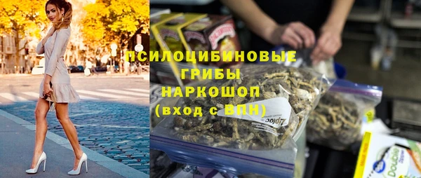 прущий лед Алзамай