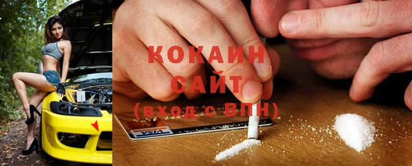 шишки Алексеевка