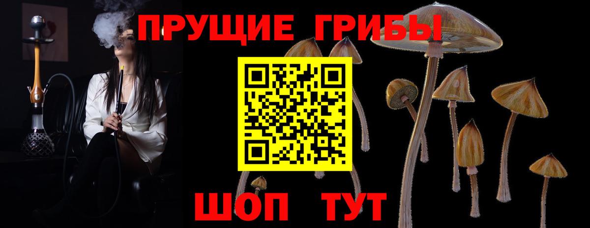 Урай  Псилоцибиновые грибы MAGIC MUSHROOMS  Псилоцибиновые грибы мицелий  Вход с VPN 